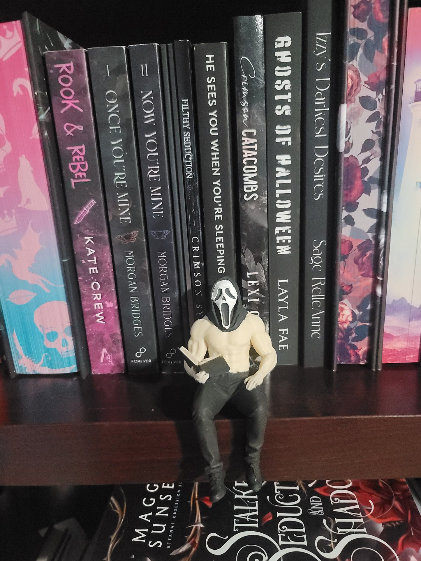 Hand Painted Dark Romance Reader Shelf Sitter | Gothic BookTok Bookshelf Decor for Readers