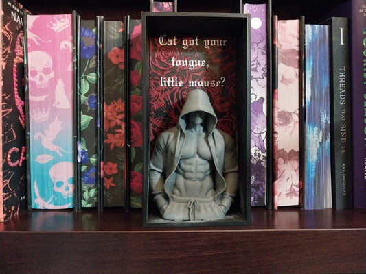 Haunting Adeline Inspired Book Nook | Gothic Dark Romance Shelf Decor | BookTok Bookshelf Insert