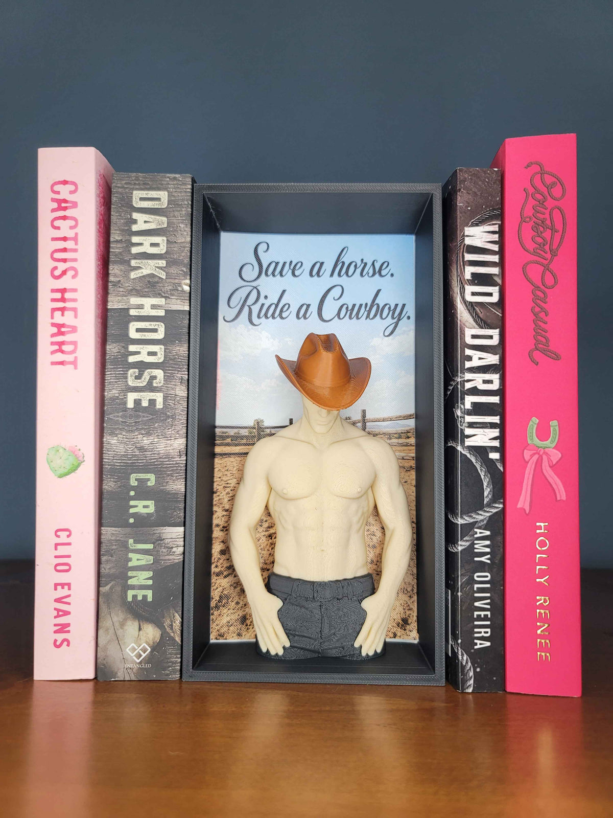 Save a Horse Ride a Cowboy Book Nook