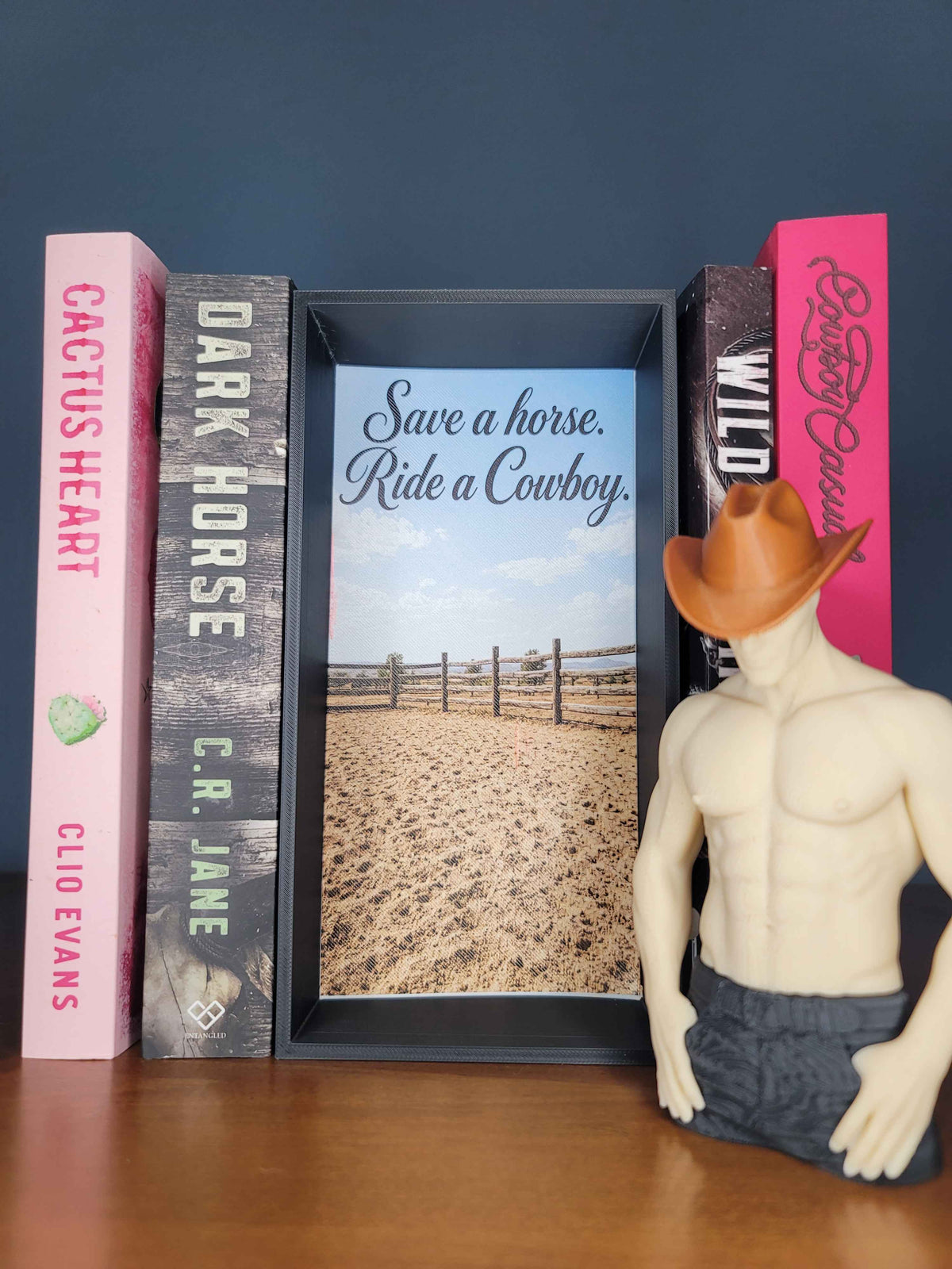 Save a Horse Ride a Cowboy Book Nook