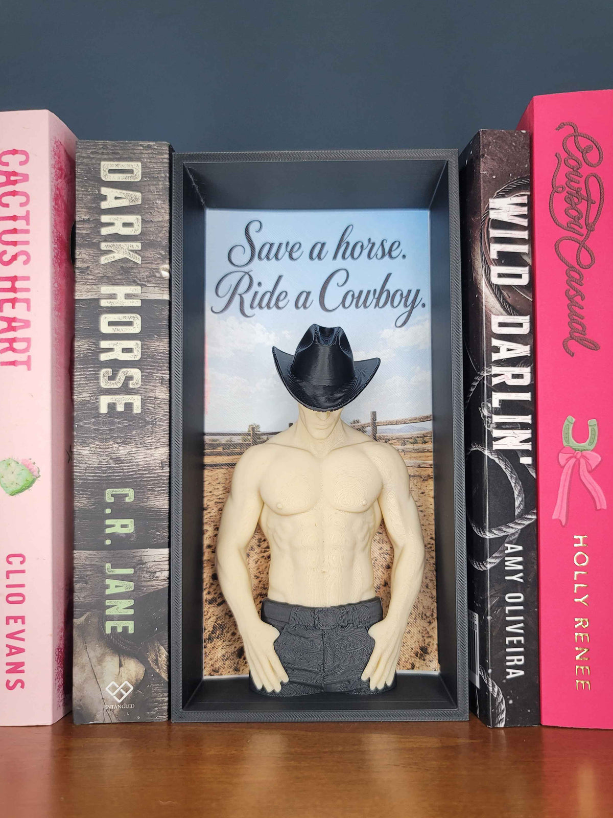 Save a Horse Ride a Cowboy Book Nook