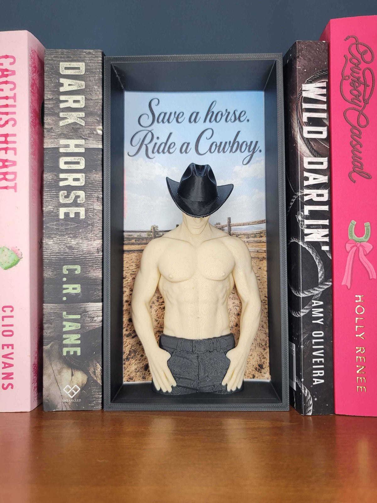 Save a Horse Ride a Cowboy Book Nook