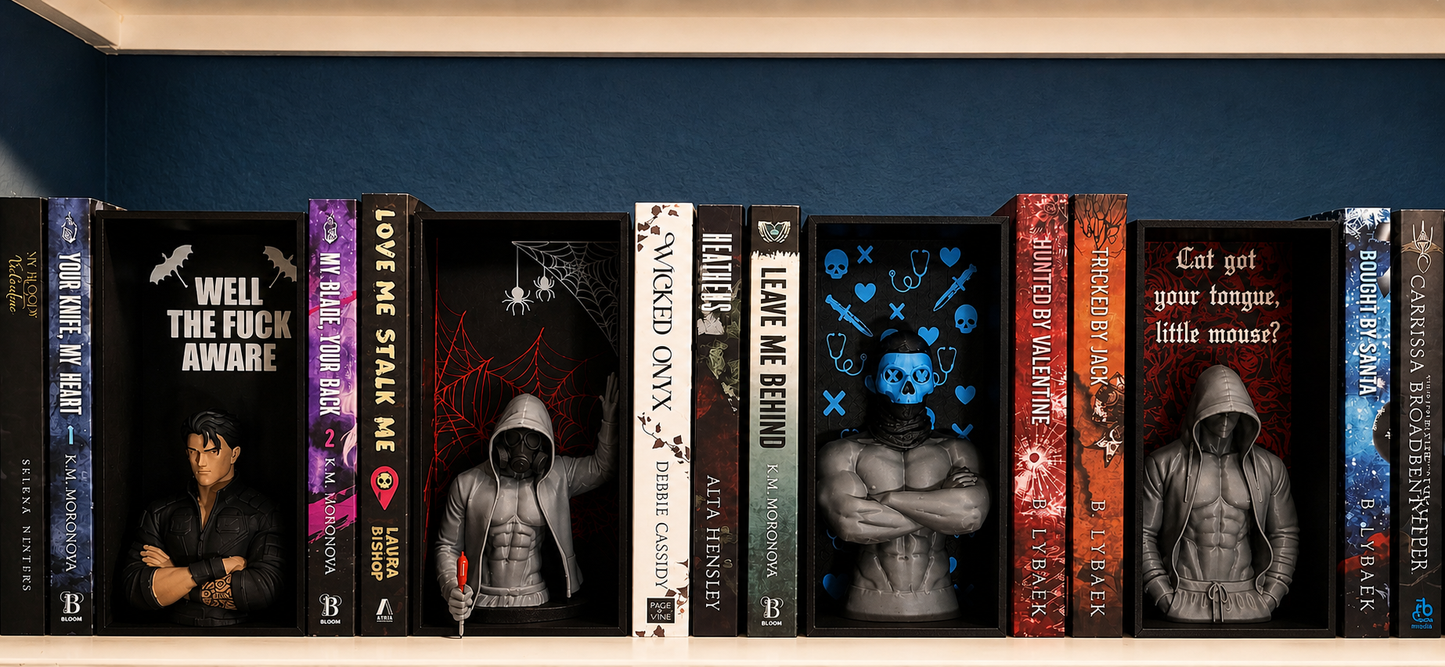 Dark Romance Book Nook | Gothic Shelf Insert Inspired by Morally Gray Romance | BookTok Decor