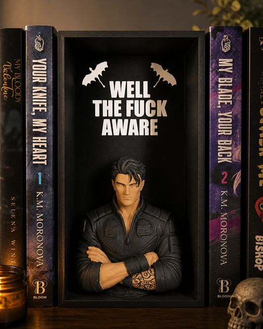 Xaden Inspired Book Nook | Fourth Wing Romantasy Shelf Insert | Dark Fantasy BookTok Decor